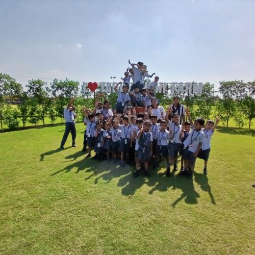 School Picnics
